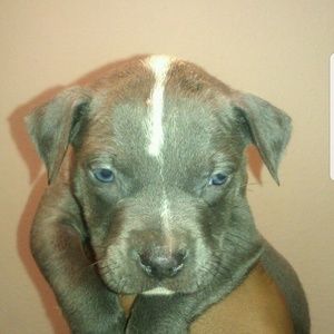 Meet your Posher, Nate